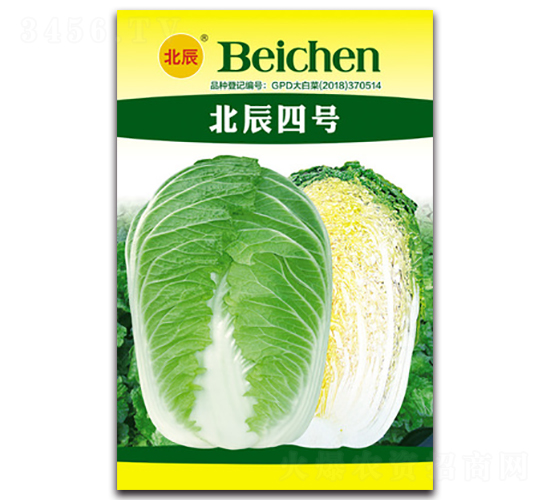 ������̖-��ײ˷N��-�����N�I(y��)