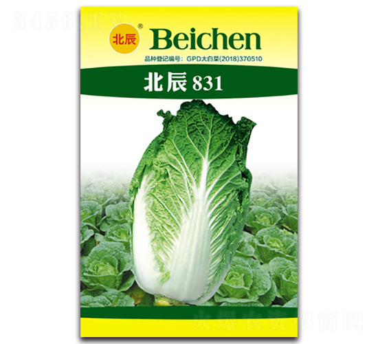 ����831-��ײ˷N��-�����N�I(y��)