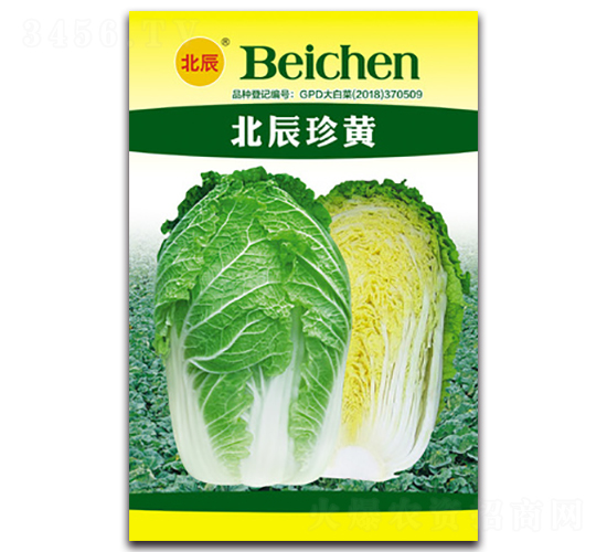 �������S-��ײ˷N��-�����N�I(y��)