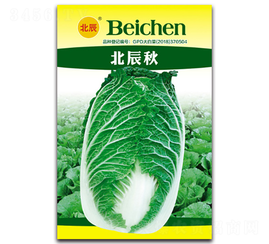 ������-��ײ˷N��-�����N�I(y��)