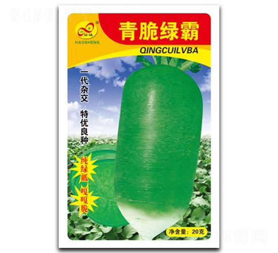 ���G��-�}���N��-��ɷN�I(y��)