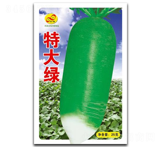 �ش�G-�}���N��-��ɷN�I(y��)