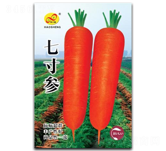 �ߴ煢-���}���N��-��ɷN�I(y��)