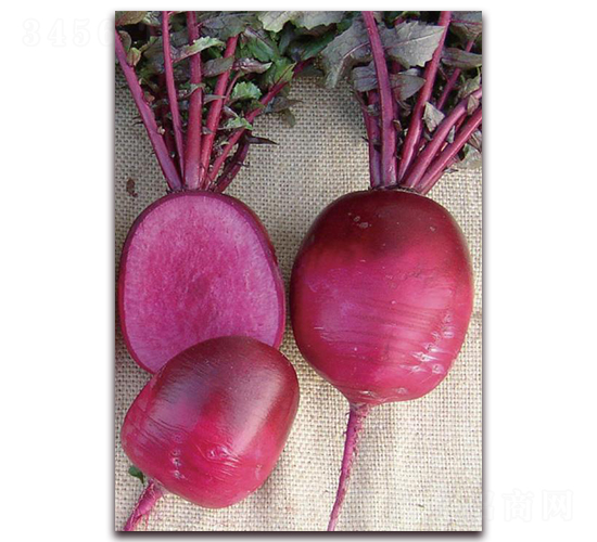 �ϵ�-�}���N��-�����r(n��ng)�I(y��)