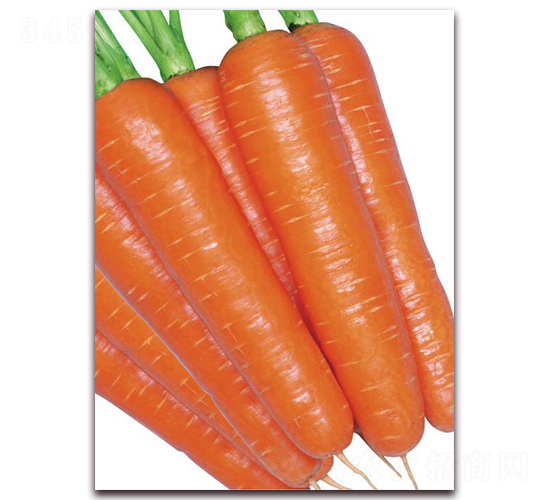 ���x���-���}���N��-�����r(n��ng)�I(y��)