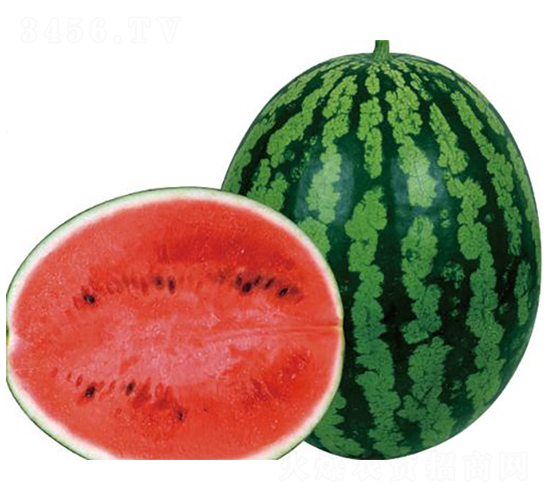 ȫ��8K-���ϷN��-�����r(n��ng)�I(y��)