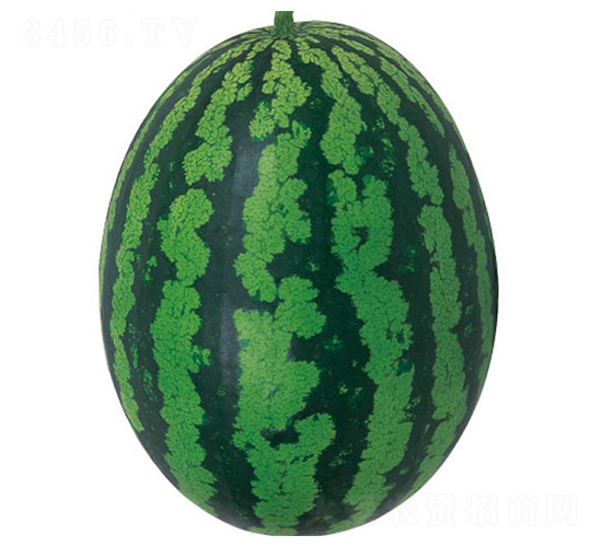 ȫ��4K-���ϷN��-�����r(n��ng)�I(y��)