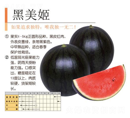 ������-���ϷN��-�����r(n��ng)�I(y��)