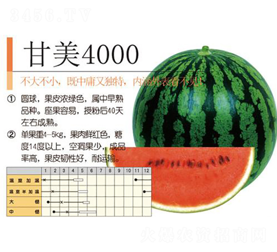 ����4000-���ϷN��-�����r(n��ng)�I(y��)