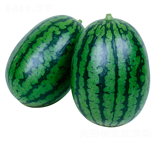 2K-���ϷN��-�����r(n��ng)�I(y��)