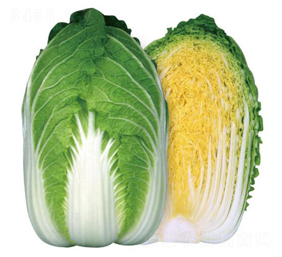 ه�S90-�ײ˷N��-�����r�I(y��)