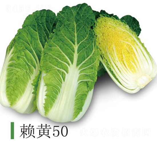 ه�S50-�ײ˷N��-�����r(n��ng)�I(y��)