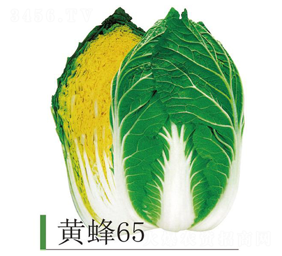 �S��65-�ײ˷N��-�����r(n��ng)�I(y��)