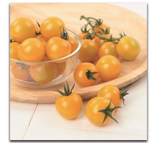 ����20-���ѷN��-�����r(n��ng)�I(y��)