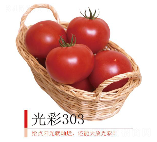 ���303-���ѷN��-�����r(n��ng)�I(y��)