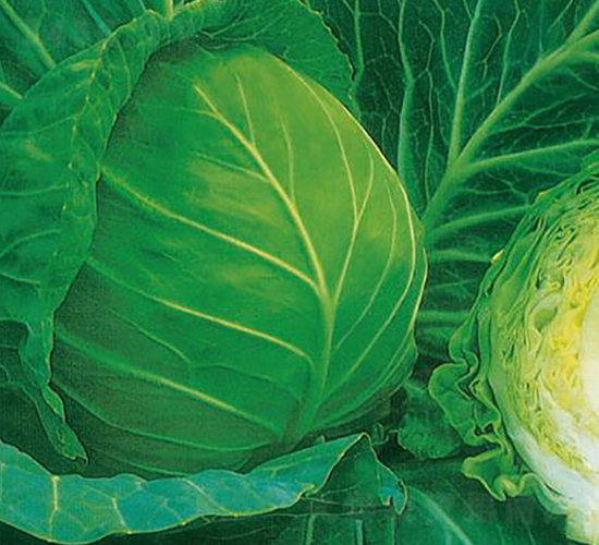 KAG-703-���{�N��-�����r(n��ng)�I(y��)