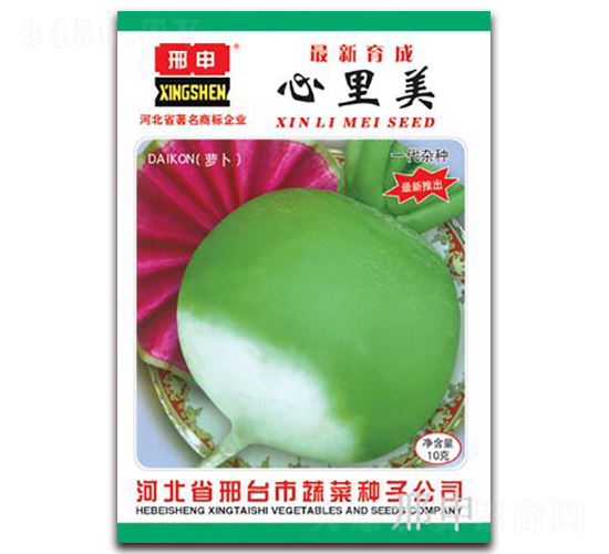 ������-�}���N��-����