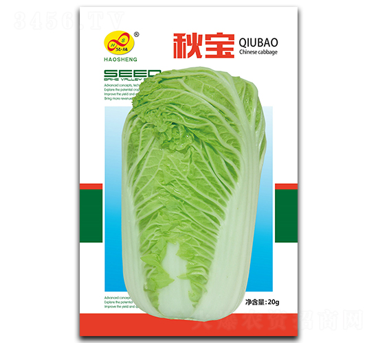 �-�ײ˷N��-��ɷN�I(y��)