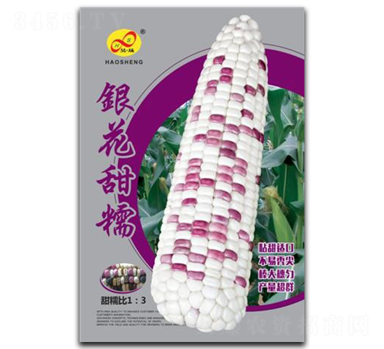 �y����Ŵ-Ŵ���׷N��-��ɷN�I(y��)