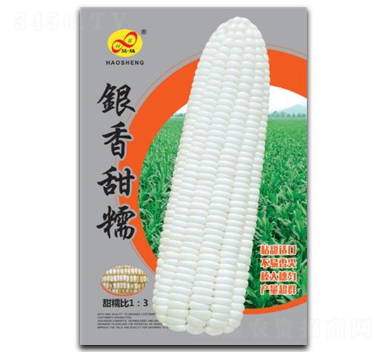 �y����Ŵ-Ŵ���׷N��-��ɷN�I(y��)