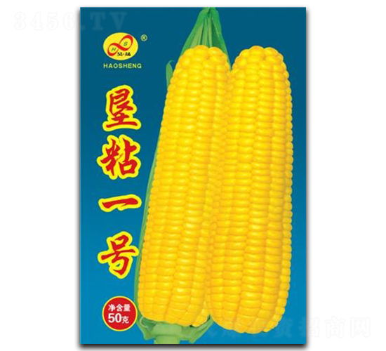 ��ճһ̖-Ŵ���׷N��-��ɷN�I(y��)