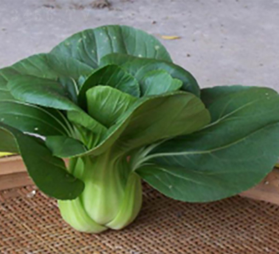 �L����̖�๣��-�๣�˷N��-����r(n��ng)�I(y��)