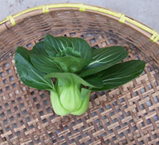 ��ɽ-�๣�˷N��-����r(n��ng)�I(y��)