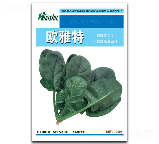 �W����-���˷N��-�A�߷N�I(y��)