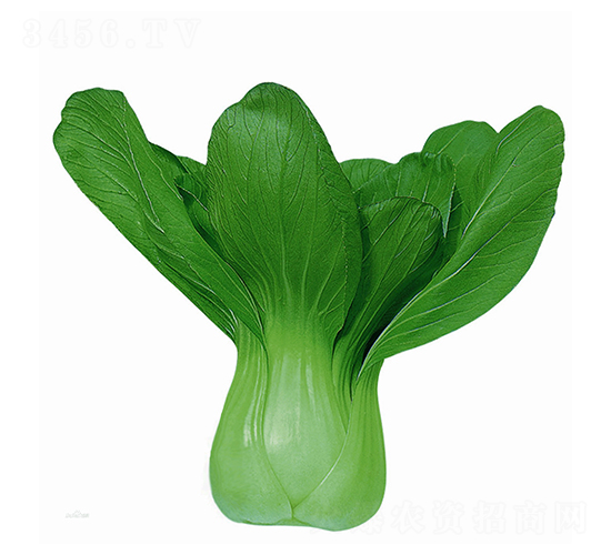 ��N�A��-�๣�˷N��-�A�߷N�I(y��)