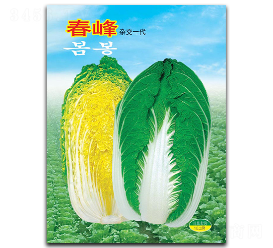 ����-�ײ˷N��-�A�߷N�I(y��)