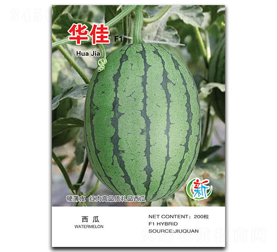 �A��-���ϷN��-�A�߷N�I(y��)