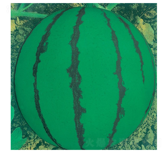 ӡ���-���ϷN��-�A�߷N�I(y��)