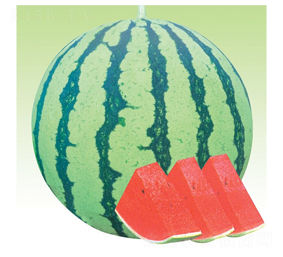 84-24-���ϷN��-�A�߷N�I(y��)