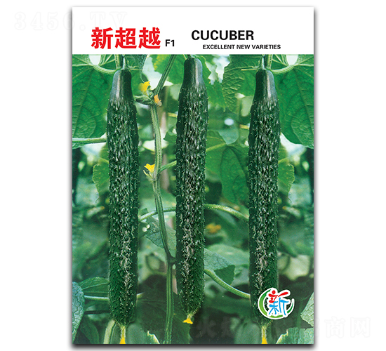 �³�Խ-�S�ϷN��-�A�߷N�I(y��)