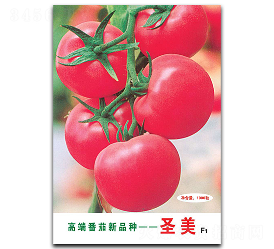 ʥ��-���ѷN��-�A�߷N�I(y��)