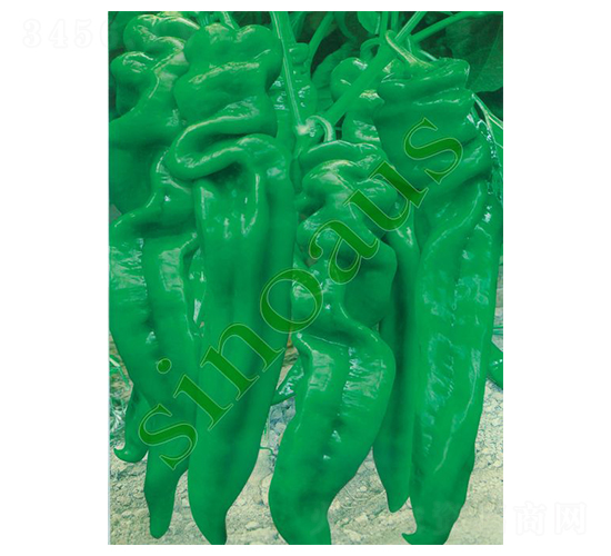 �G����-�ݽz���N��-�A�߷N�I(y��)