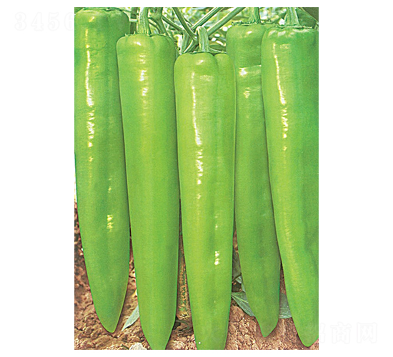 �ʼ����R-��ǽ��N��-�A�߷N�I(y��)