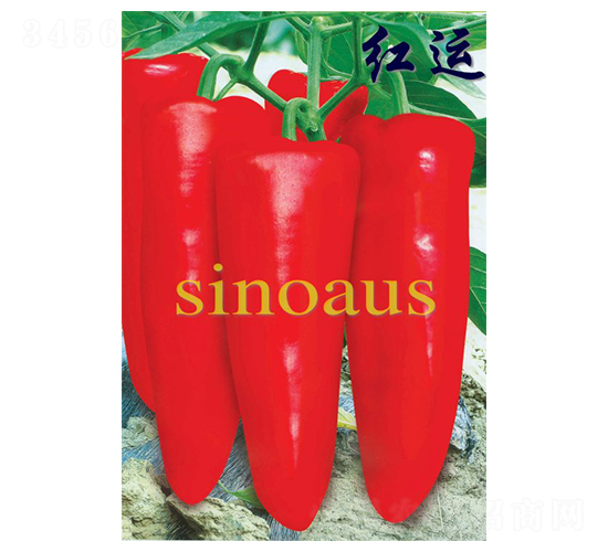 �t�\-�ݽ��N��-�A�߷N�I(y��)