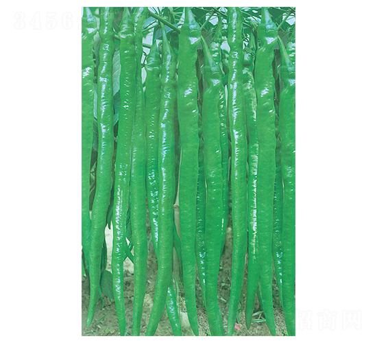 �I(l��ng)��һ̖(h��o)-�����N��-�A�߷N�I(y��)