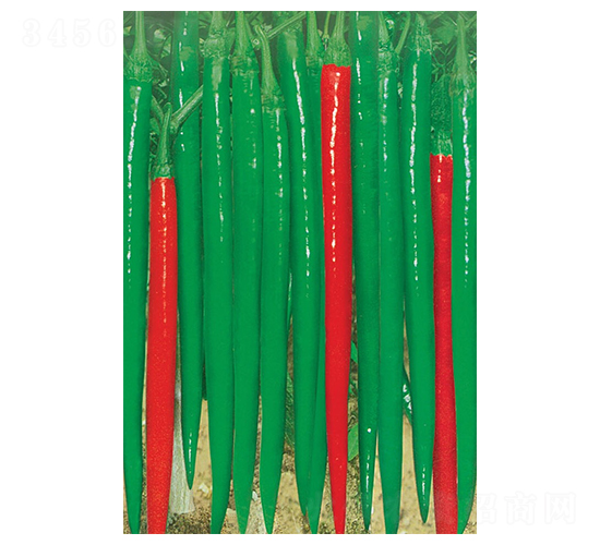 �|�����-�����N��-�A�߷N�I(y��)