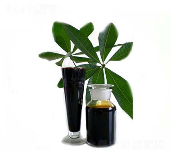 ʳ�ü�(j��)�S����ԭҺ-ʥ��һ��