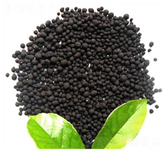 ��ֲ���c-̩���_