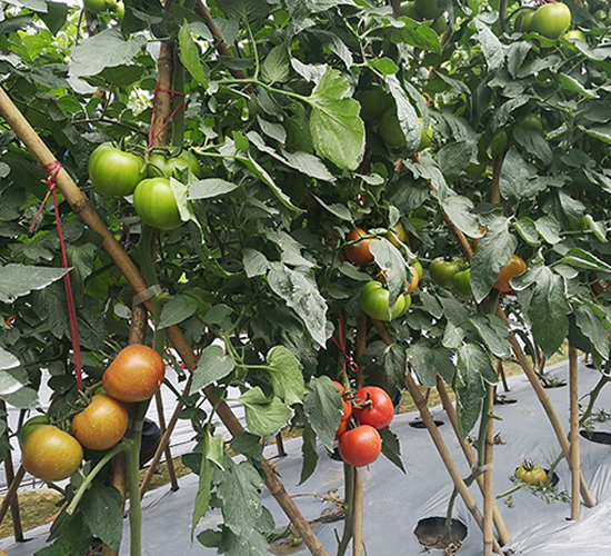 �ĵ���-���ѷN��-혳�