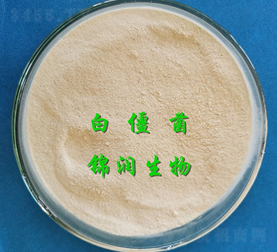 �׽���-�\������