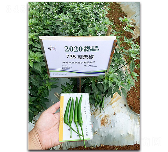 ����-�����N��-혳�