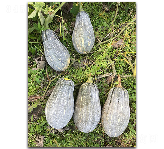 ����С�Ϲ�-�ϹϷN��-혳�