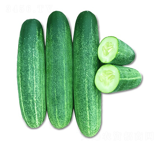 ̩��806-�S�ϷN��-혳�