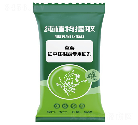 ��ݮ�t����������������-ǧ���