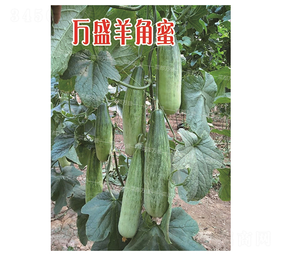 �fʢ�����-��ϷN��-�˶��fʢ