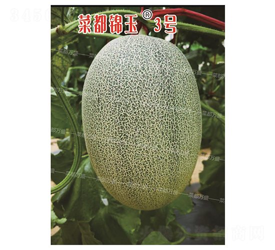 �˶��\��3̖(h��o)-��ϷN��-�˶��f(w��n)ʢ